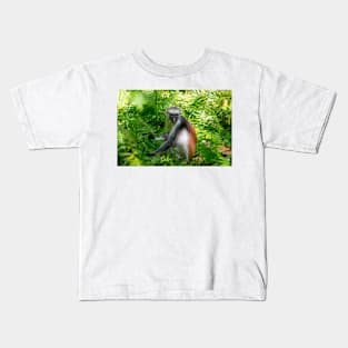 Red Colobus Monkey of Zanzibar Island, Tanzania Kids T-Shirt